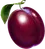 Symbol plum